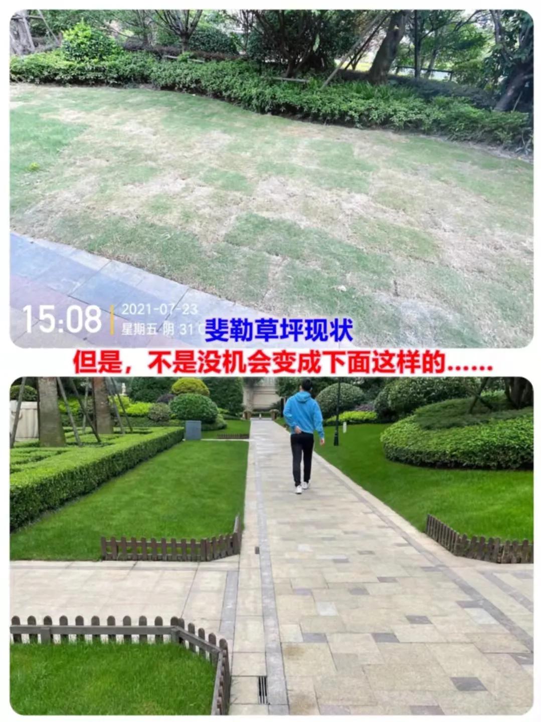 开发商和物业怎么定服务标准,物业收物业费需要提供哪些服务