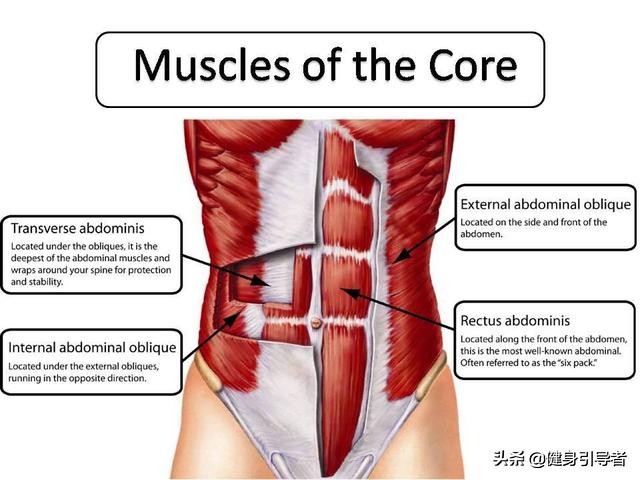两个动作就能练巧克力腹肌,腹部燃脂训练巧克力腹肌强化