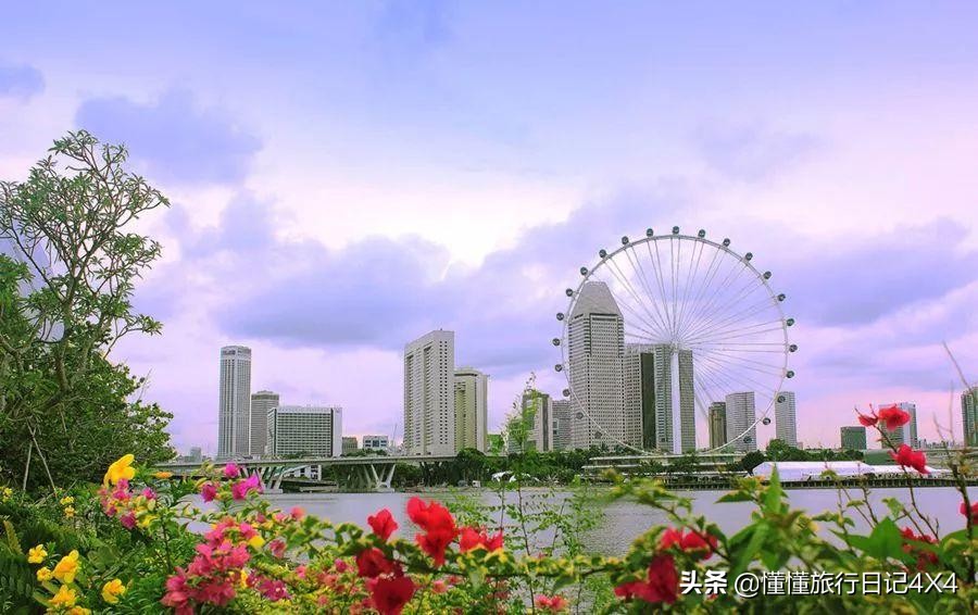 如果多一张船票你愿意跟我走吗,如果多一张船票你会跟我一起走吗