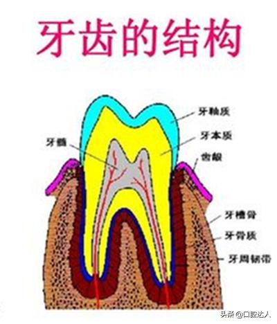 别让牙痛给健康打折