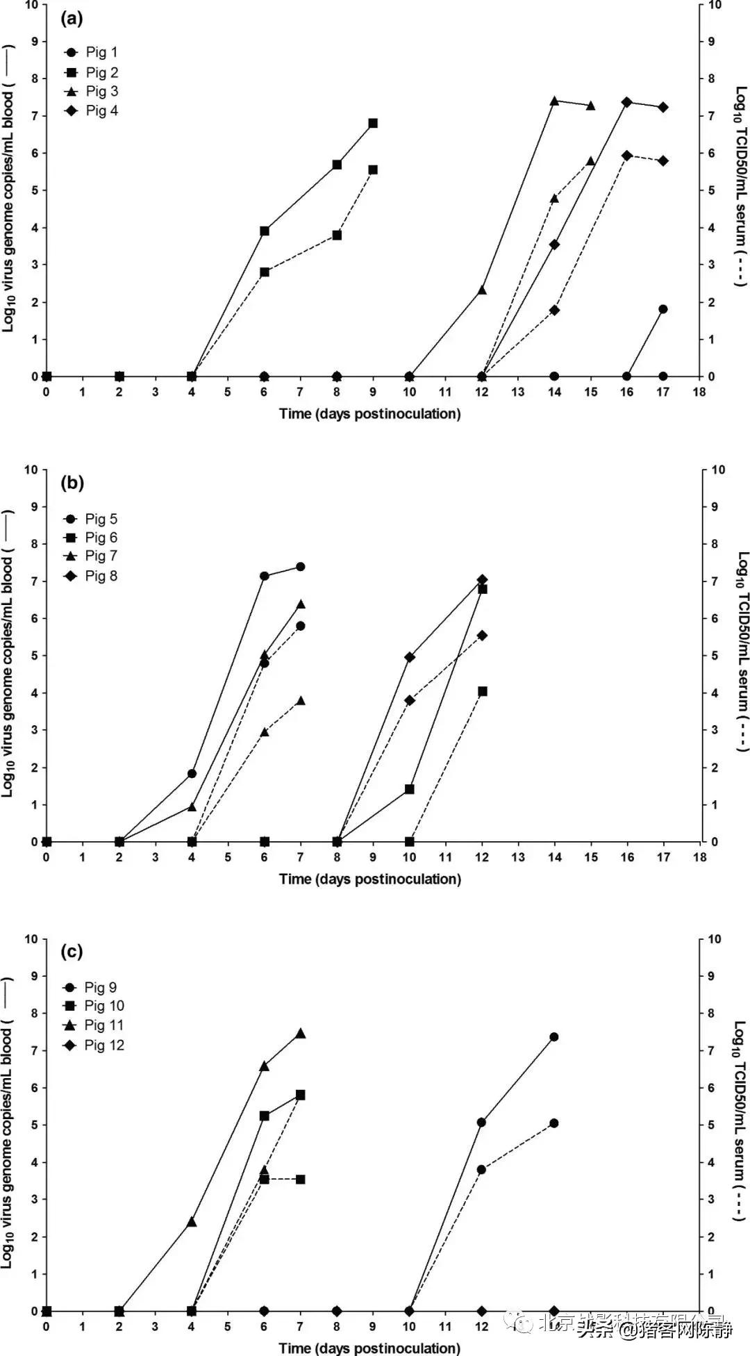 警惕！苍蝇等吸血害虫可能会传播非洲猪瘟病毒
