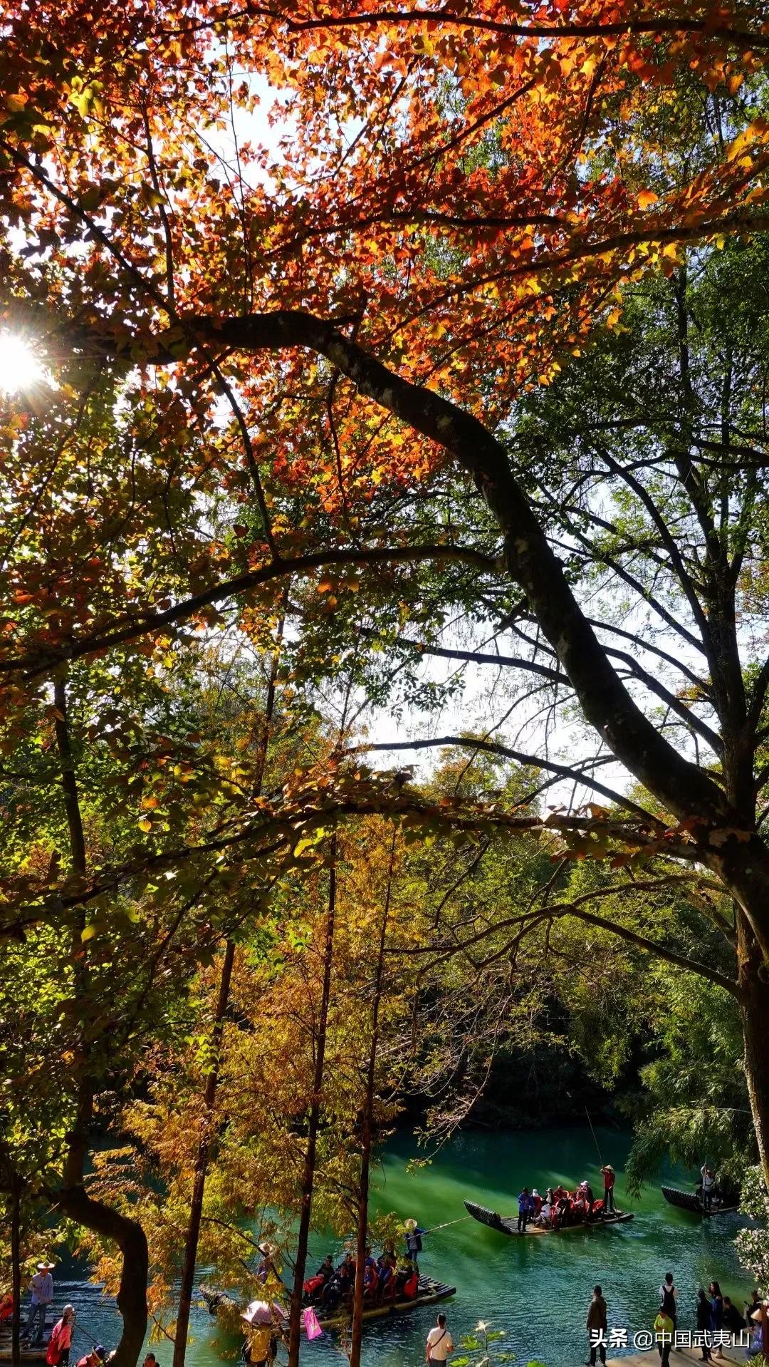 武夷暖暖慢生活图片,武夷山冬日暖阳