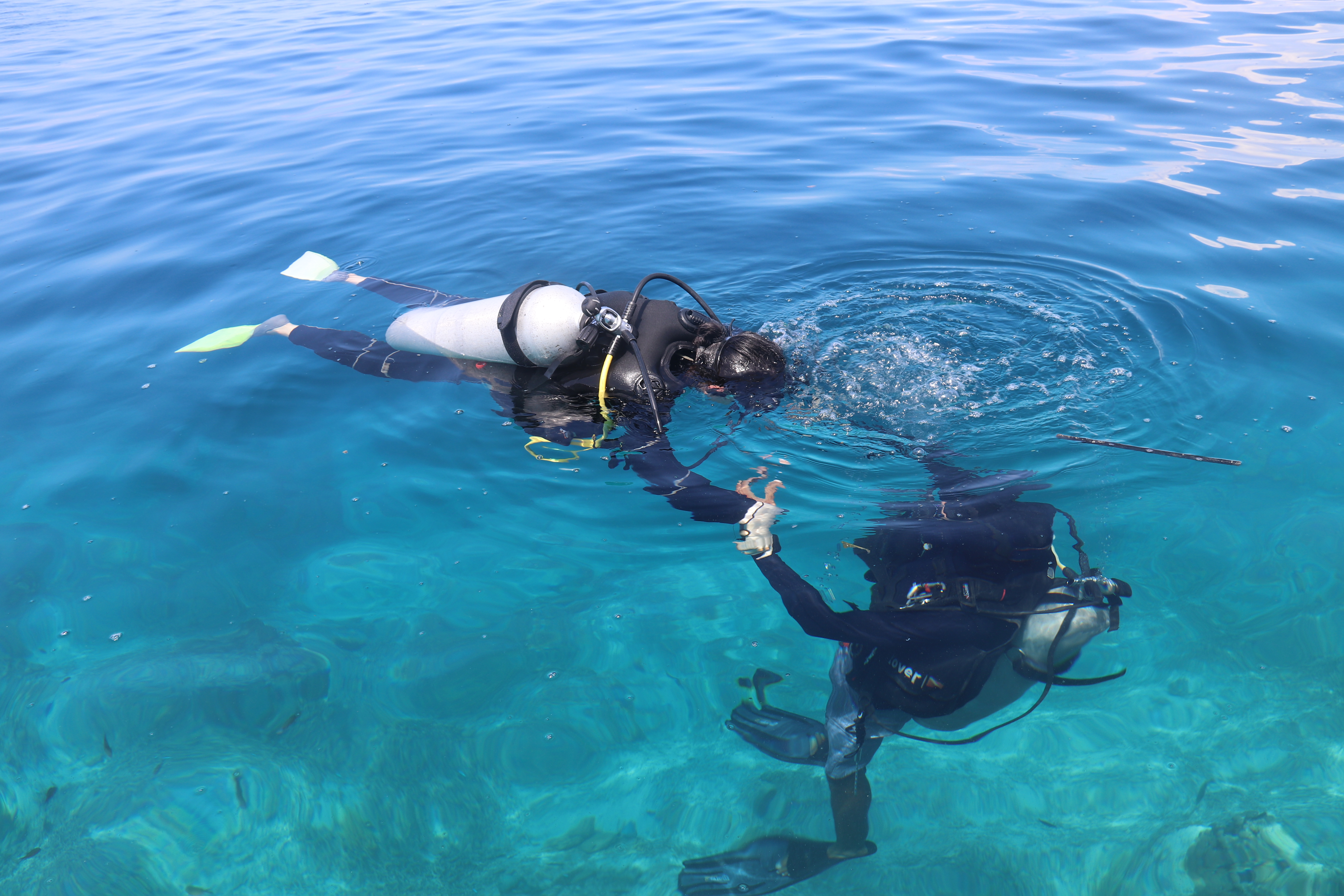 2018马来西亚之旅留影,2019回眸