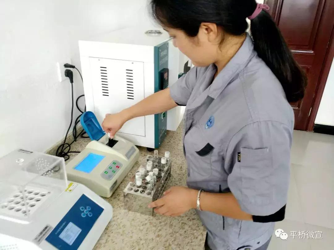 怎么样处理生活垃圾,如何处理生活垃圾