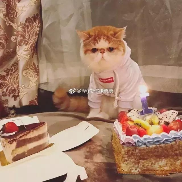 “妈，我是顺产吗？”“你是泼妇产”哈哈哈哈哈哈哈哈哈