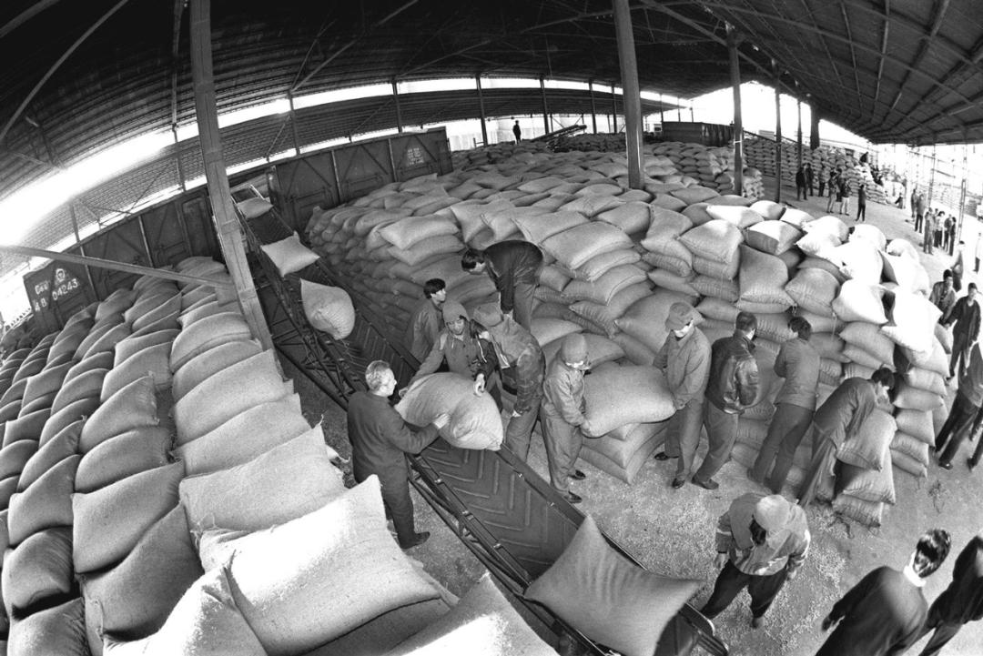 中国大豆惨败的一战,中国大豆困局如何解决