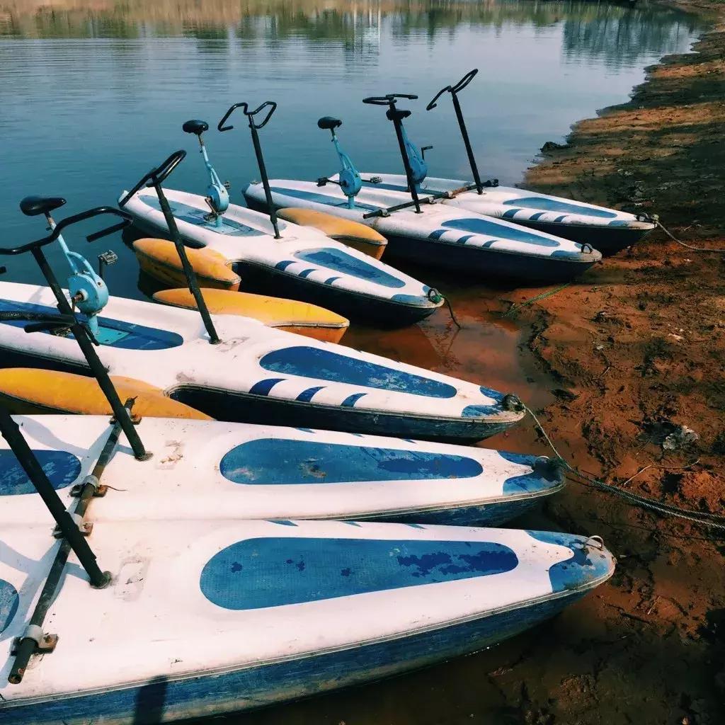 最美银杏秋景自驾攻略,杭州银杏树旅游攻略