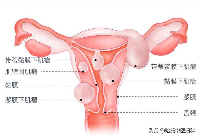 跟婆婆住一个套房总是被气怎么办,和婆婆住一起每天被气的要死