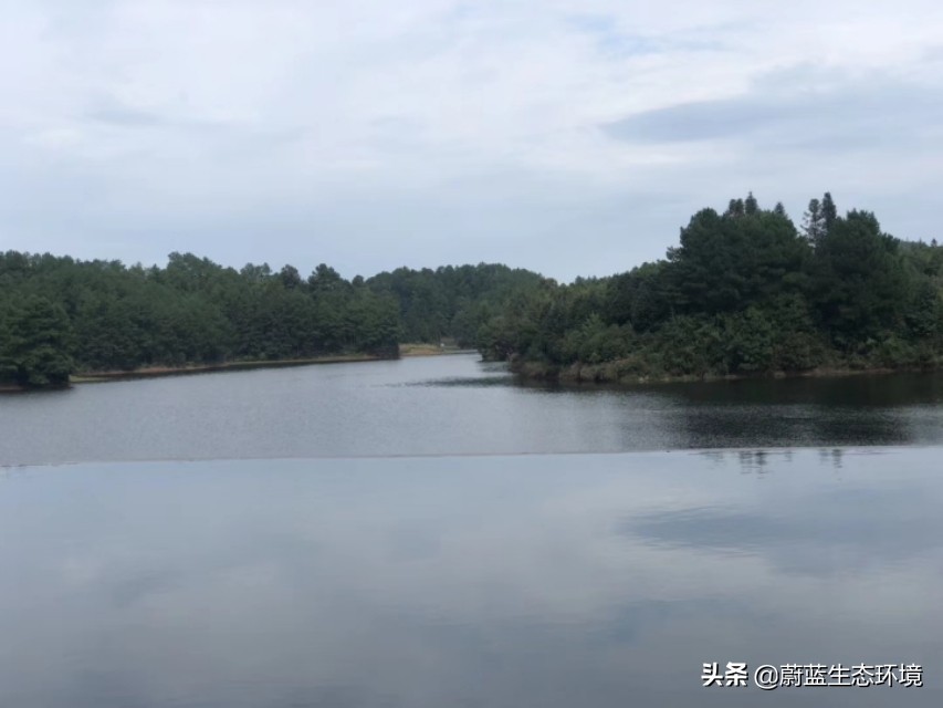 深圳最好的公园东湖公园,深圳东湖公园有哪些风景区