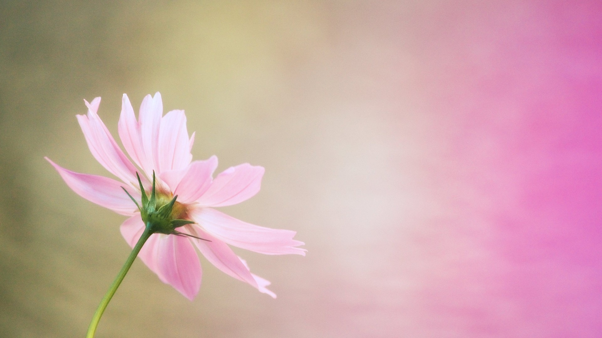 了凡四训病由心灭,了凡四训不生子的原因