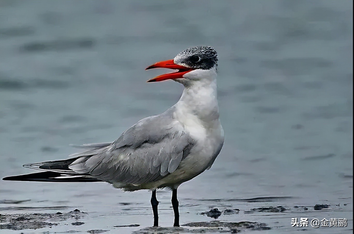 为什么云南女人长相好看,云南真的很漂亮吗