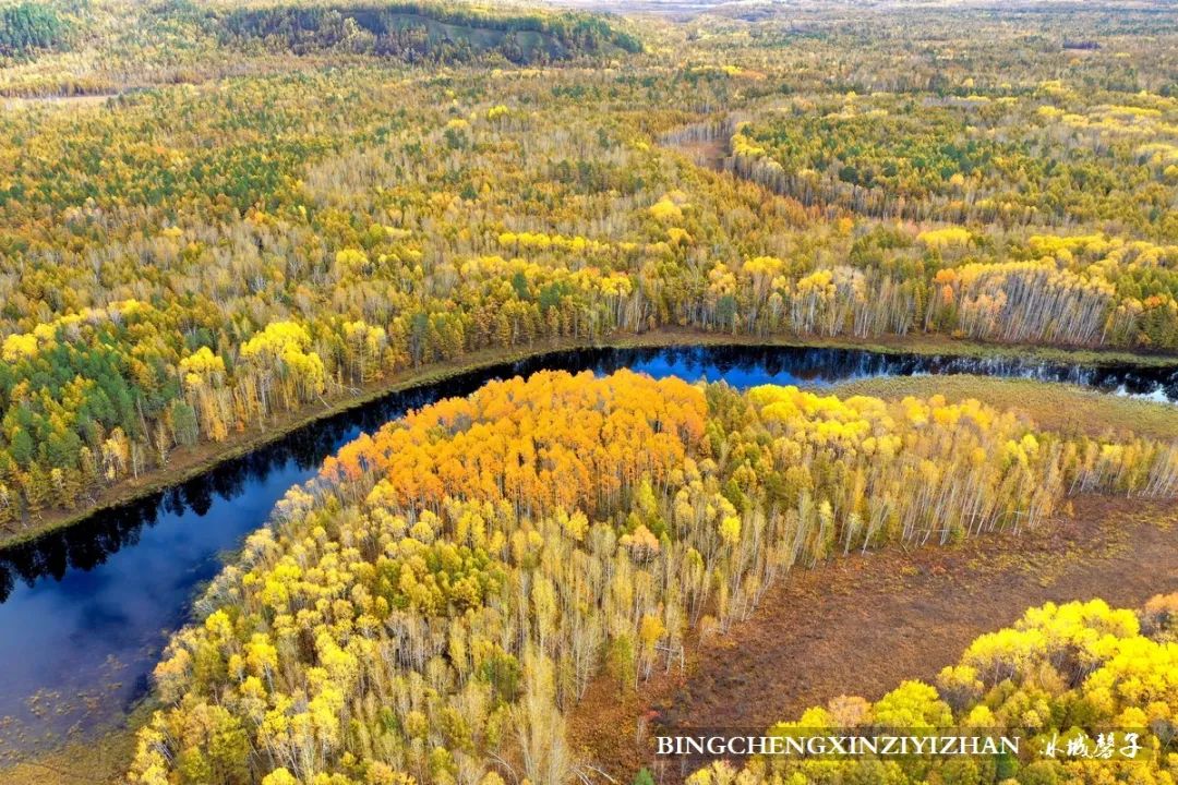 深秋的大兴安岭色彩斑斓,大兴安岭的秋天美景