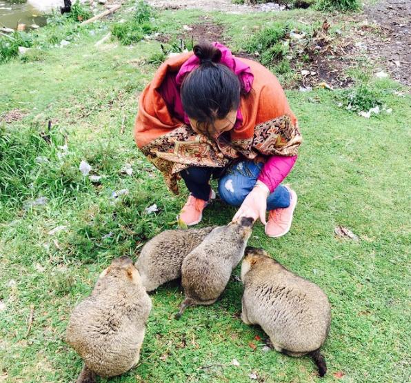 甘南最隐藏的地方,甘南隐藏的美景