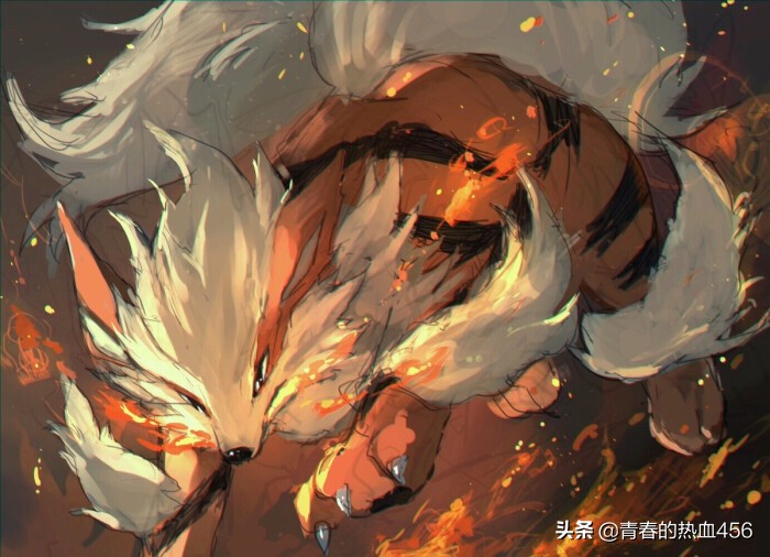 口袋妖怪剑盾风速狗,口袋妖怪剑盾雪原抓什么宝可梦好