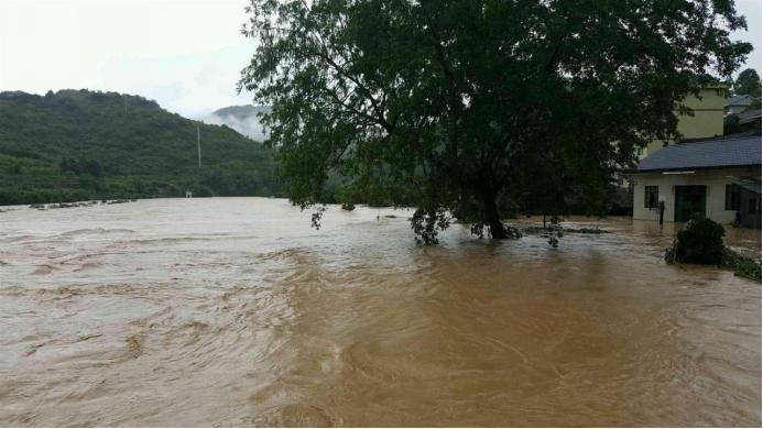 黄河的几次大决口,黄河从什么时候不决口了