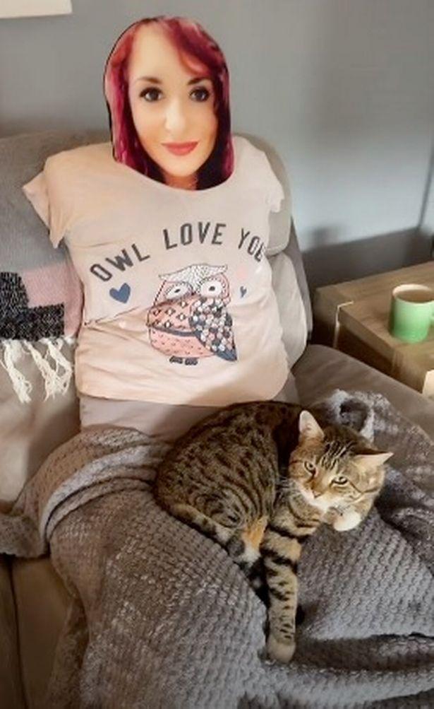 猫咪粘铲屎官,猫猫超粘人