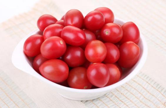 这六种食物一定不要让狗狗吃到,这5种水果别错过