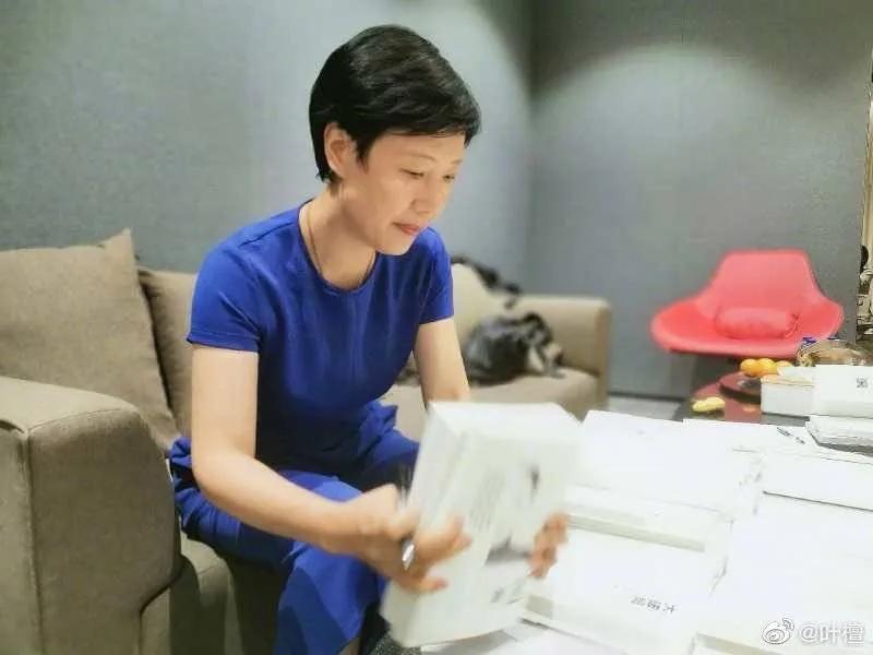 叶檀股票的深度解析,叶檀股市最新分析