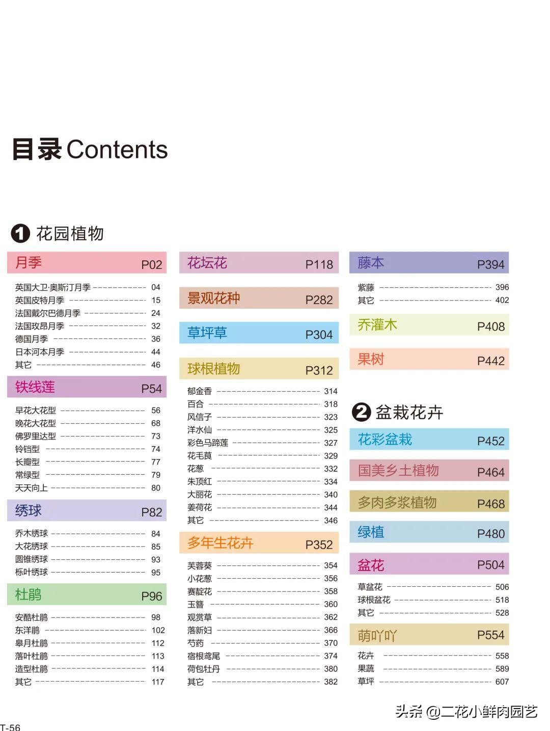 鍥壓鑺卞崏绉嶆鐭ヨ瘑鍏ラ棬,鑺卞崏鍥壓濡備綍鍏ラ棬