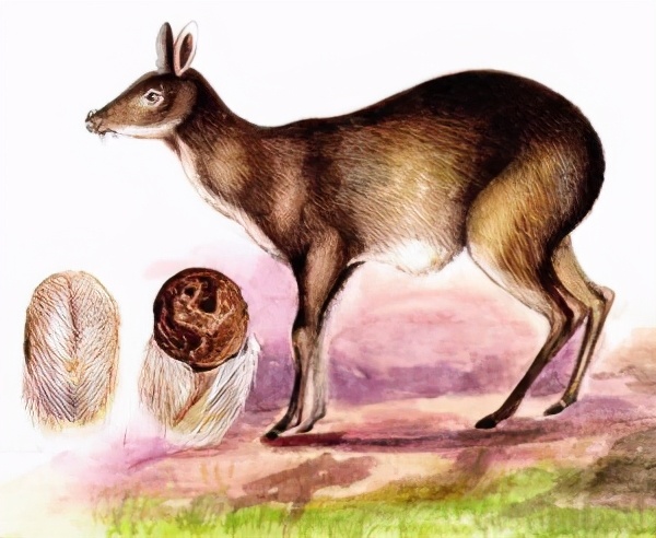 宫斗剧里面常用的毒药,宫斗里常用的毒药