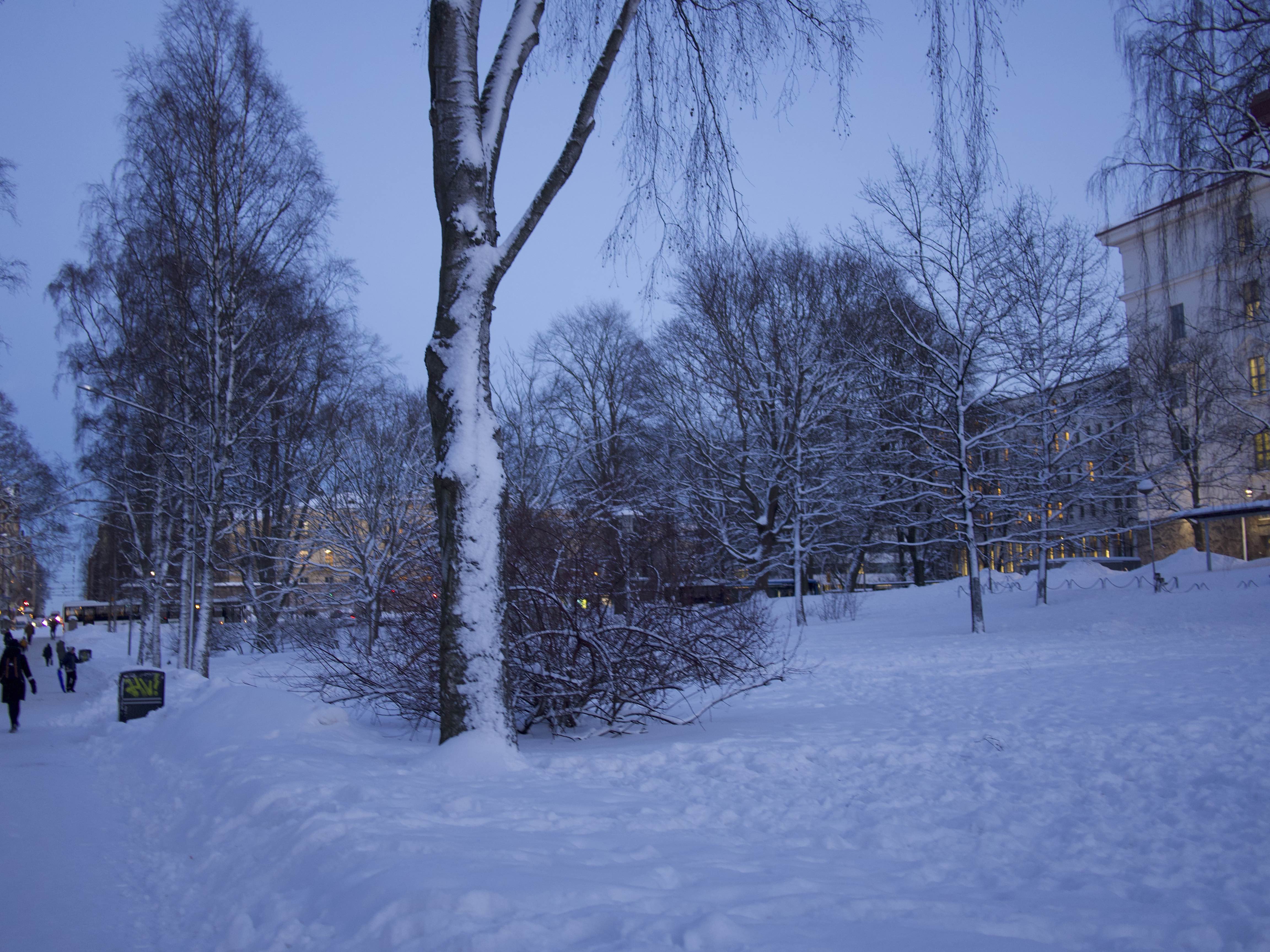 寒冬将至，2019冬季的魔力Taikatalvi-芬兰冬季文化营回顾