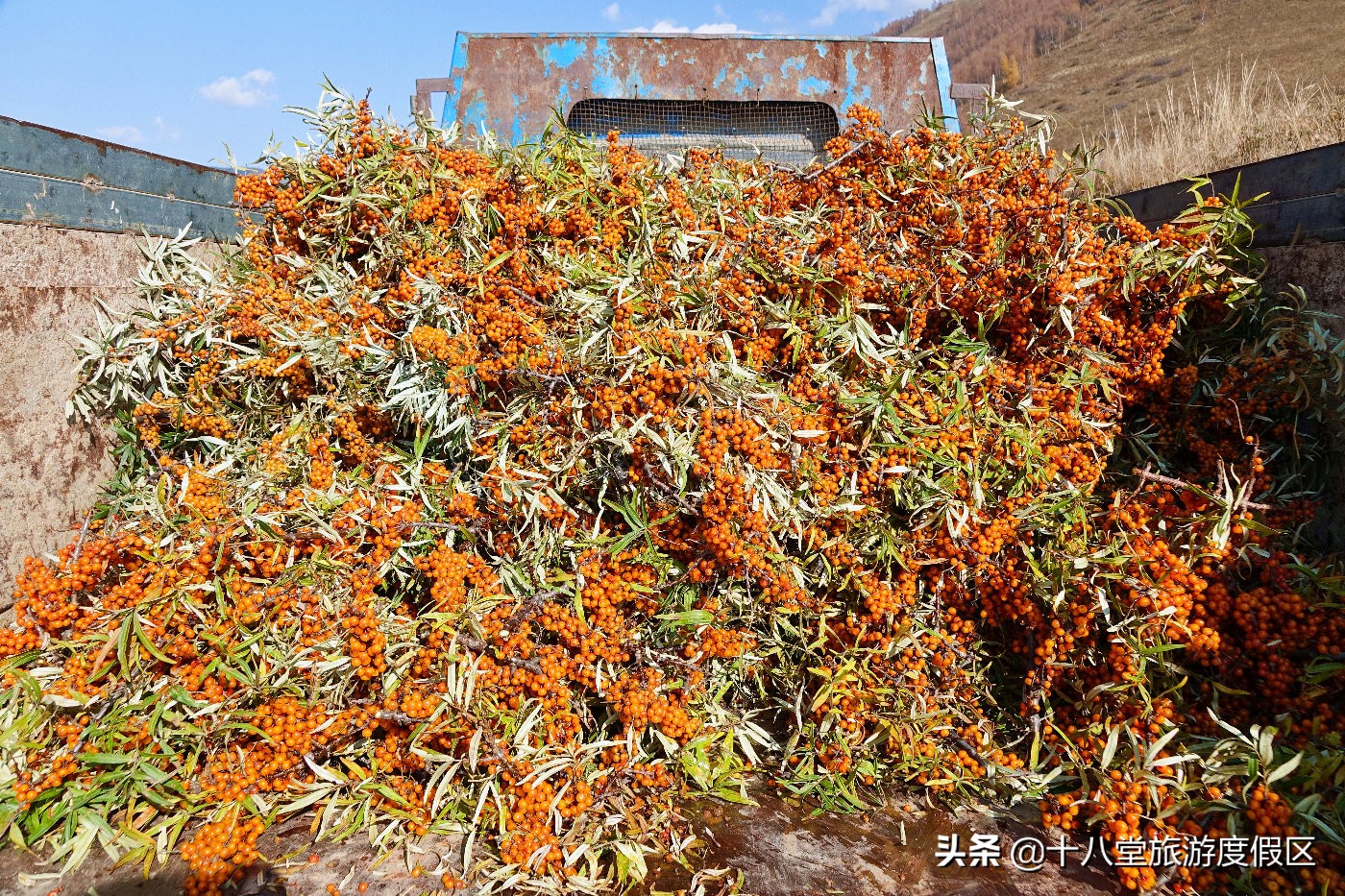 张家口有什么峡谷,张家口有什么大峡谷