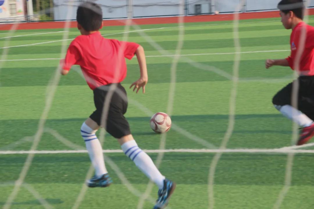 信阳维德青训基地,维德青少年培训