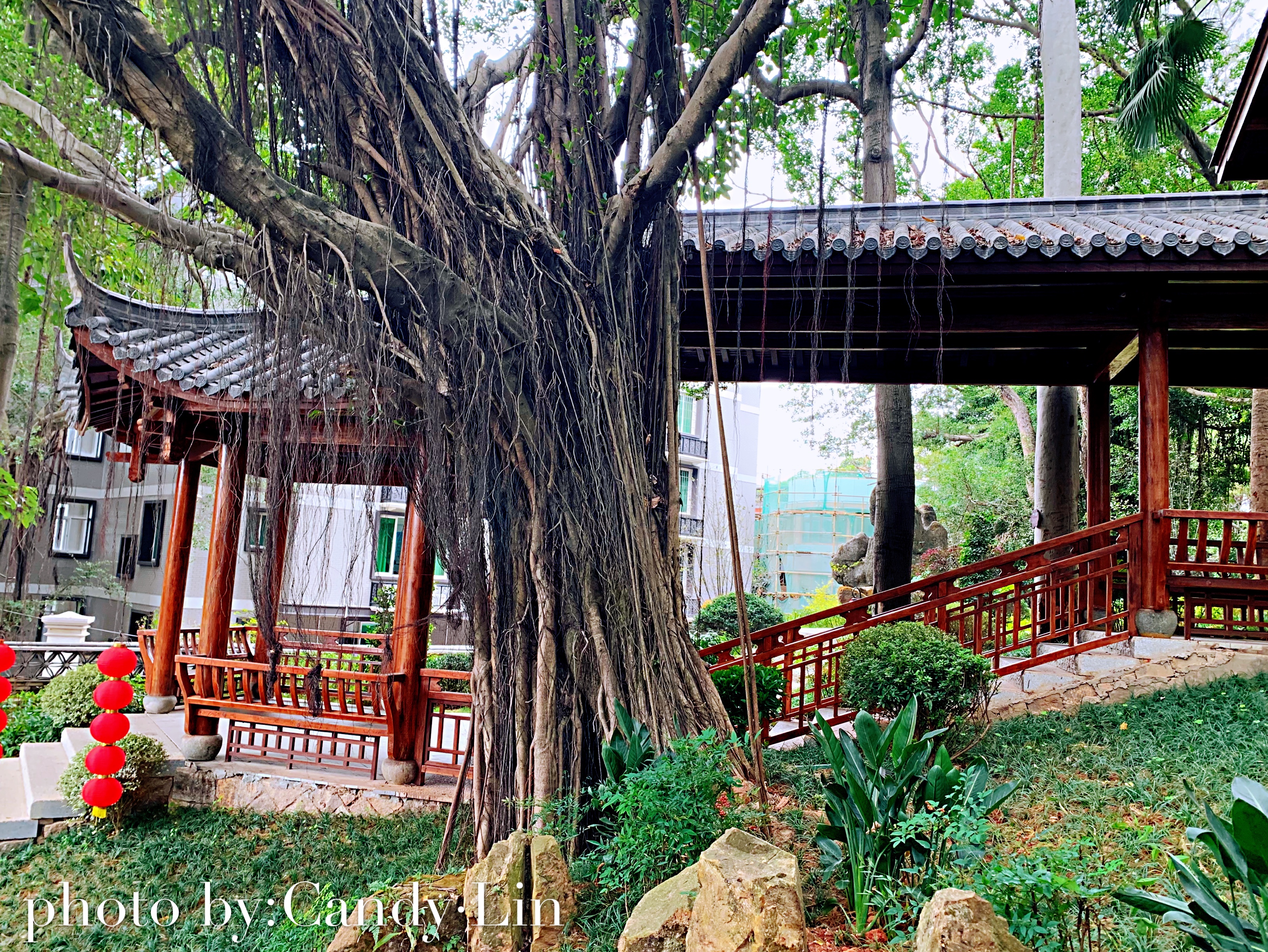 我的老仓山情怀,时光荏苒,你我如初