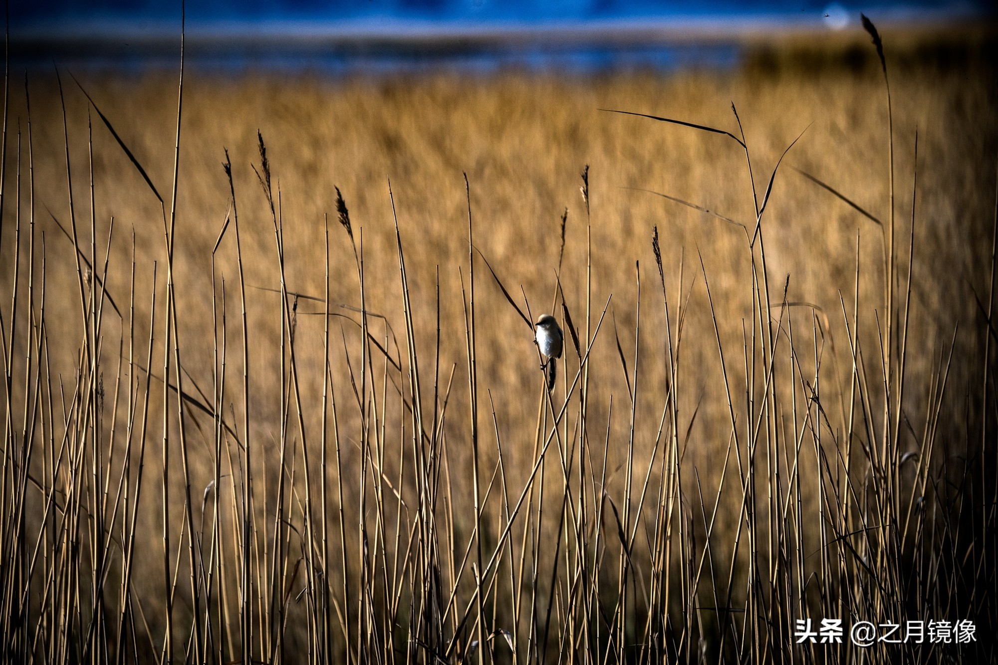 大柴达木湖和大柴旦翡翠湖,大柴旦翡翠湖在柴达木盆地