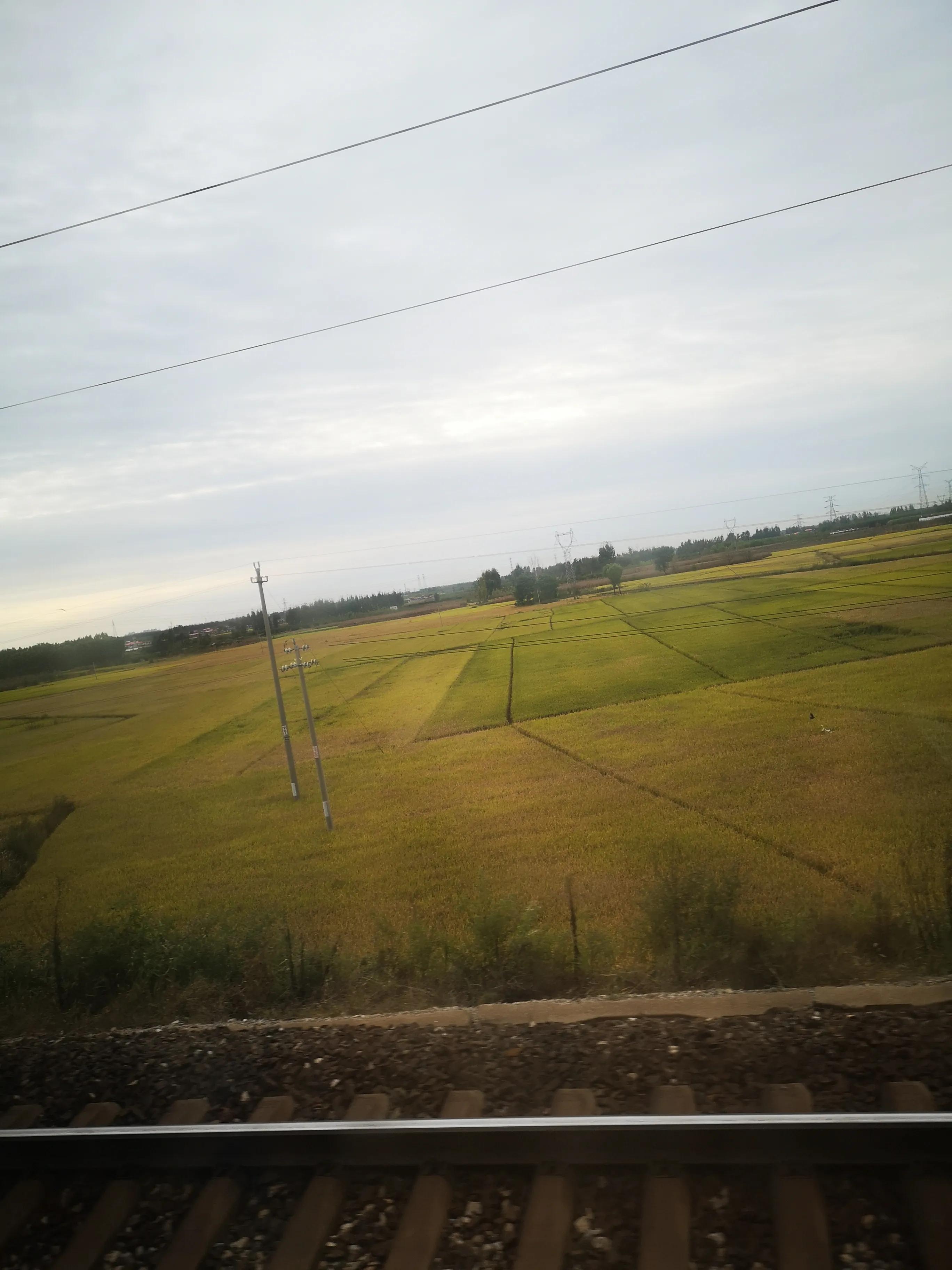 兴城攻略自由行,兴城建材瓷砖店