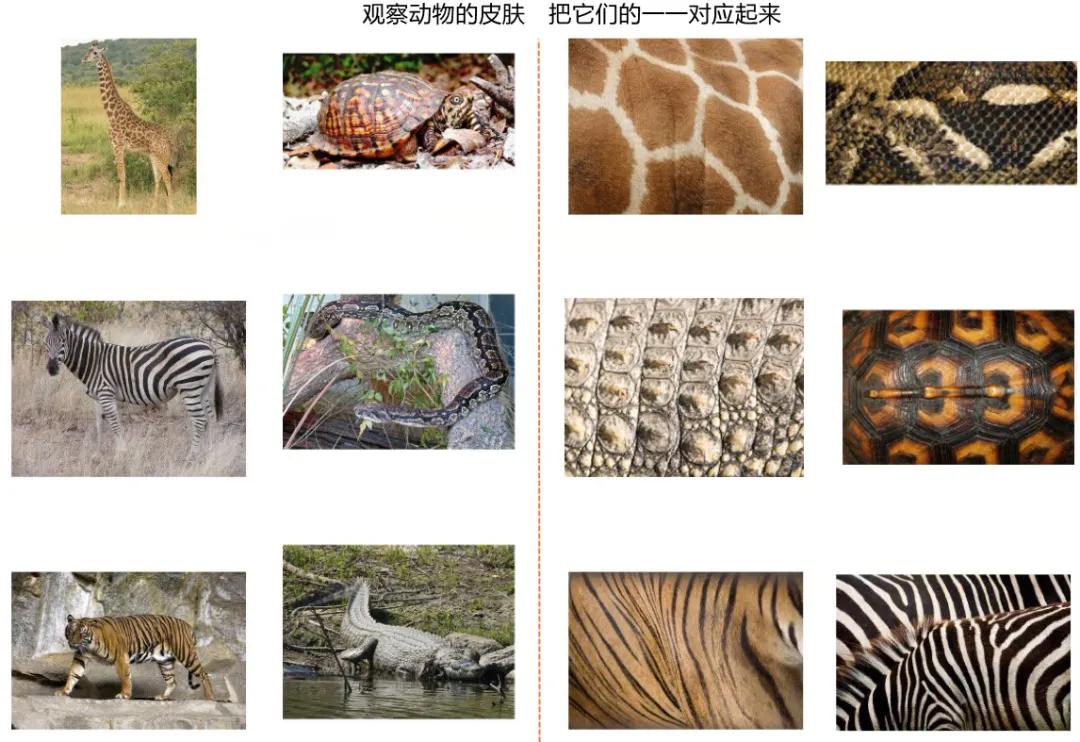 周末在家有什么好玩的亲子游戏,在家也能玩的亲子游戏6-7