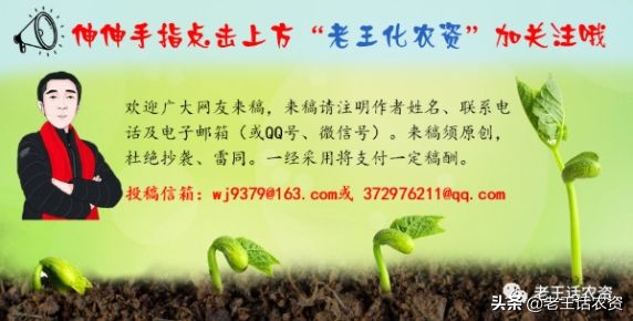 芭田股份简介,芭田股份后市走势分析