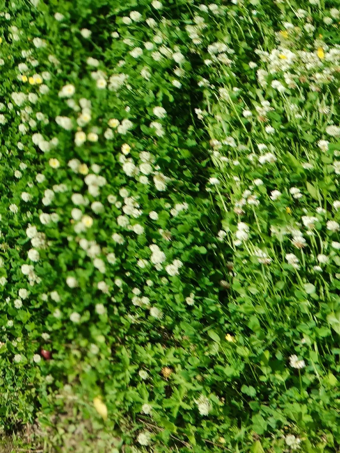 12个“无用”之美,第一个就被惊艳到了