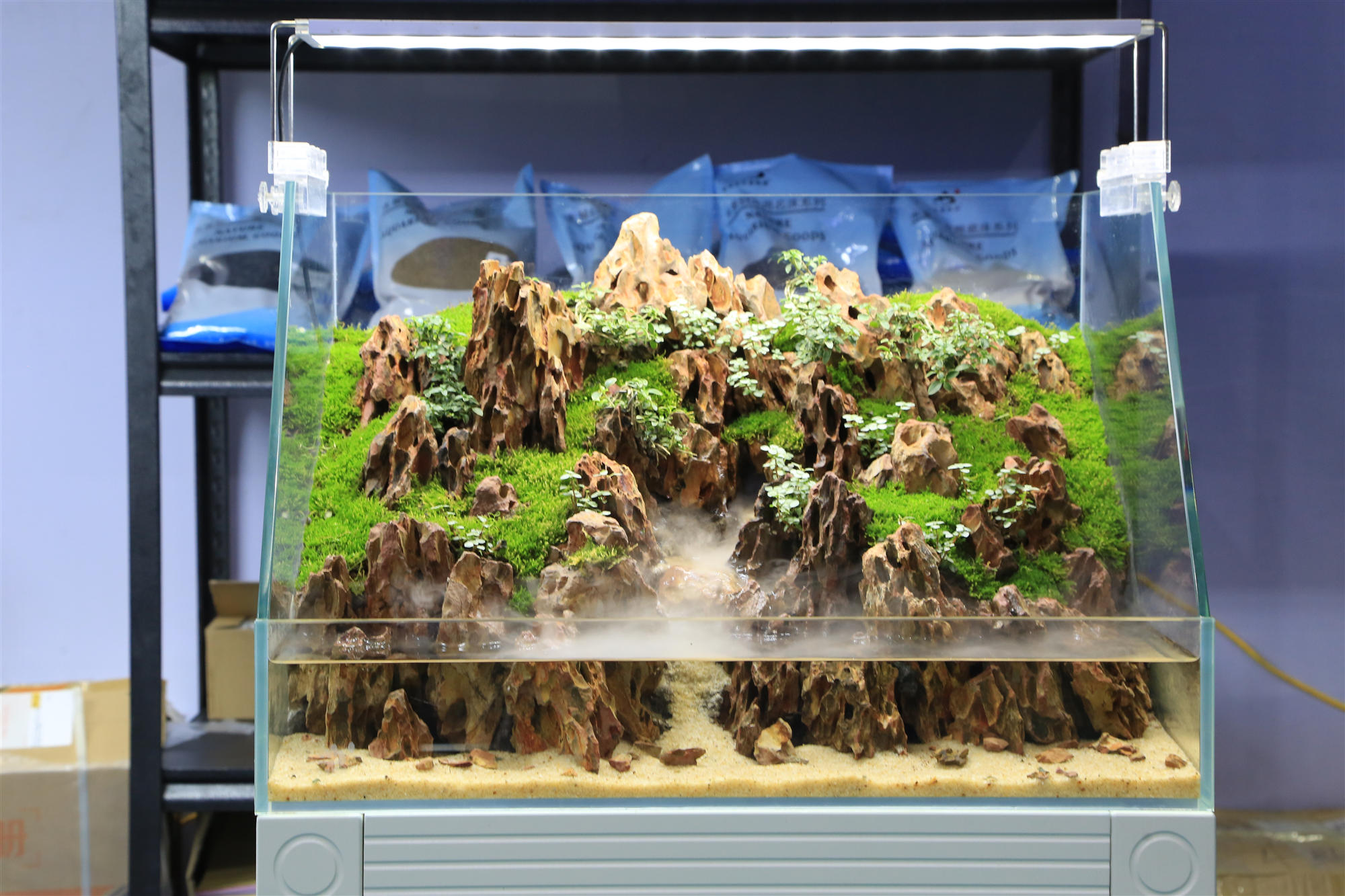 淡水水族展,中国国际水族展