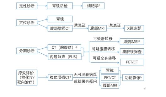 我国胃癌新发人数,2020年我国胃癌新发病例数达多少