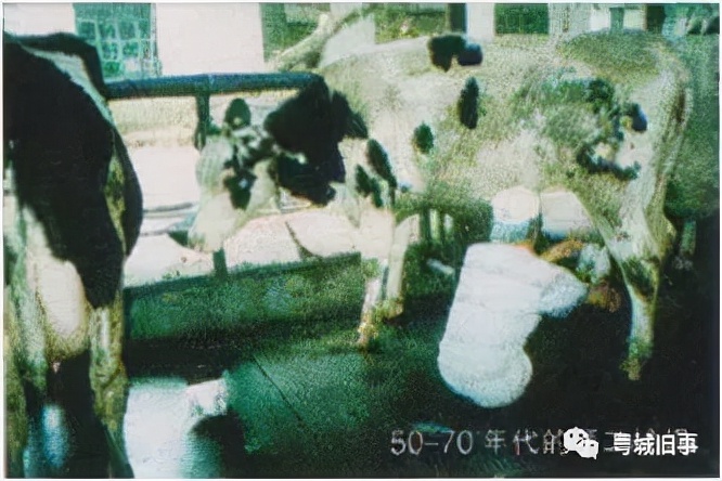 燕塘牛奶和风行乳业,燕塘风行乳业最新消息