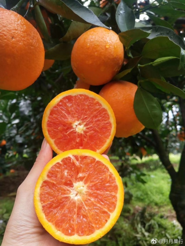 宜昌三峡大坝旅游攻略大全,三峡大坝宜昌旅游攻略必去的景点