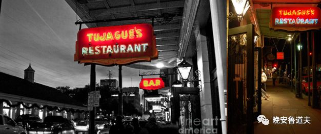 只属于你的清新——绿色蚱蜢,Grasshopper