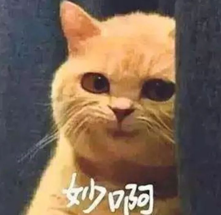 谷歌地图被关闭的坐标,谷歌地图被限制原因