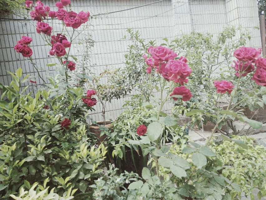 码头装卸招工是不是很辛苦,附近码头装卸工