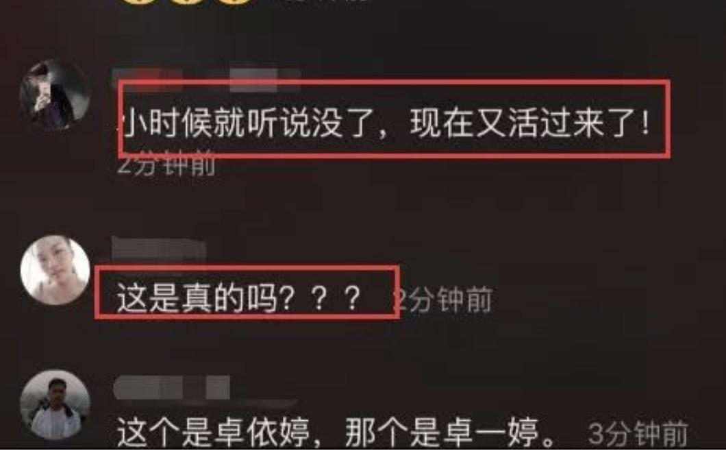 杨钰莹当年真实情况,杨钰莹当年出了什么事