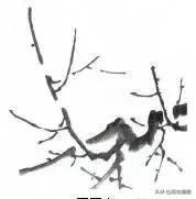国画梅花画法视频,徐湛梅花画法教程