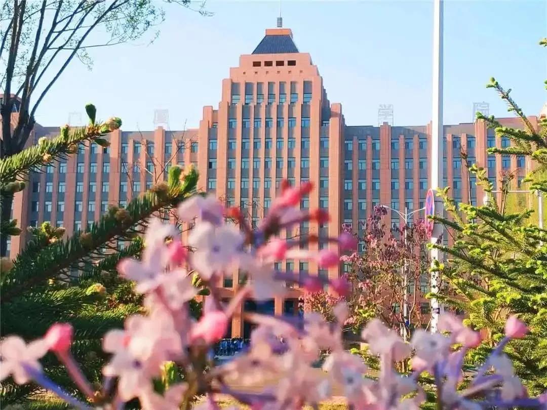 哈尔滨广厦学院蜜雪冰城,北国风光哈尔滨