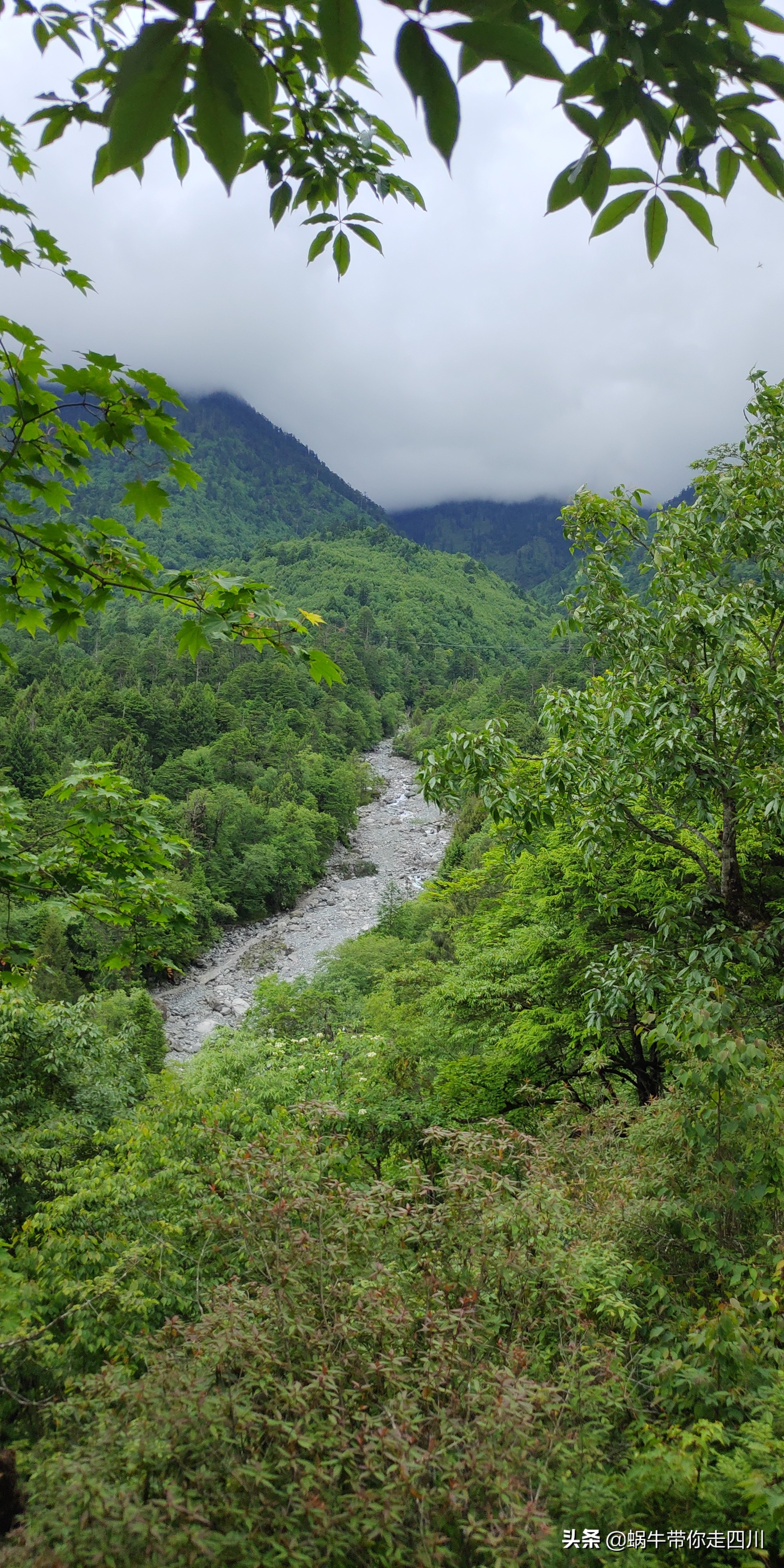 带小朋友出去看小动物,带小孩去海洋动物园