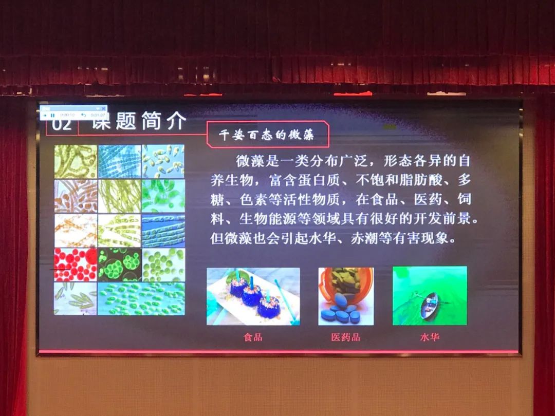 自然科学实验与创新课题,生态课题研究方案