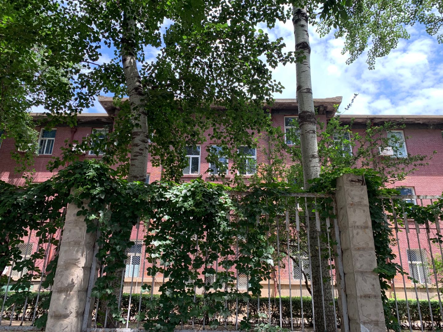 河北省双一流大学名单最新名单,河北工业大学河北唯一的双一流