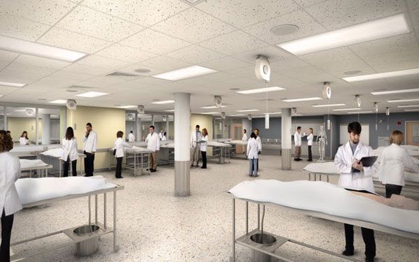 十五分钟就能拯救颈椎腰椎，很多人却不愿意做！