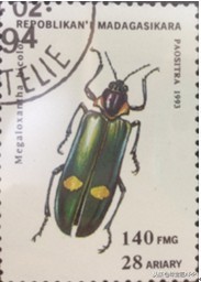 昆虫做的珠宝首饰,用昆虫做的艺术品