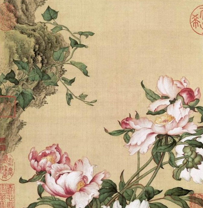 水杉为什么不生根,水杉在阴暗处能生存吗