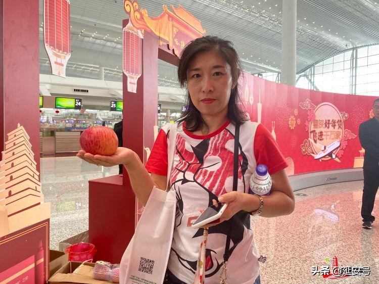 粤陕合作放大招！宝塔“延安苹果”走俏年货节！